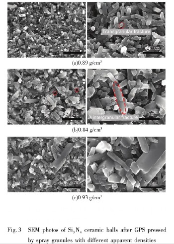 Fig. 3 SEM photos of Si3N4 ceramic balls after GPS pressed by spray granules with different apparent densities